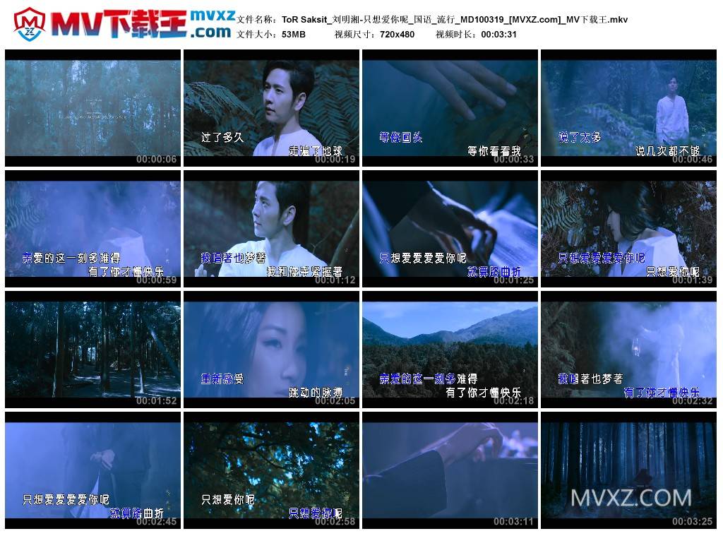 ToR Saksit_刘明湘-只想爱你呢_国语_流行_MD100319